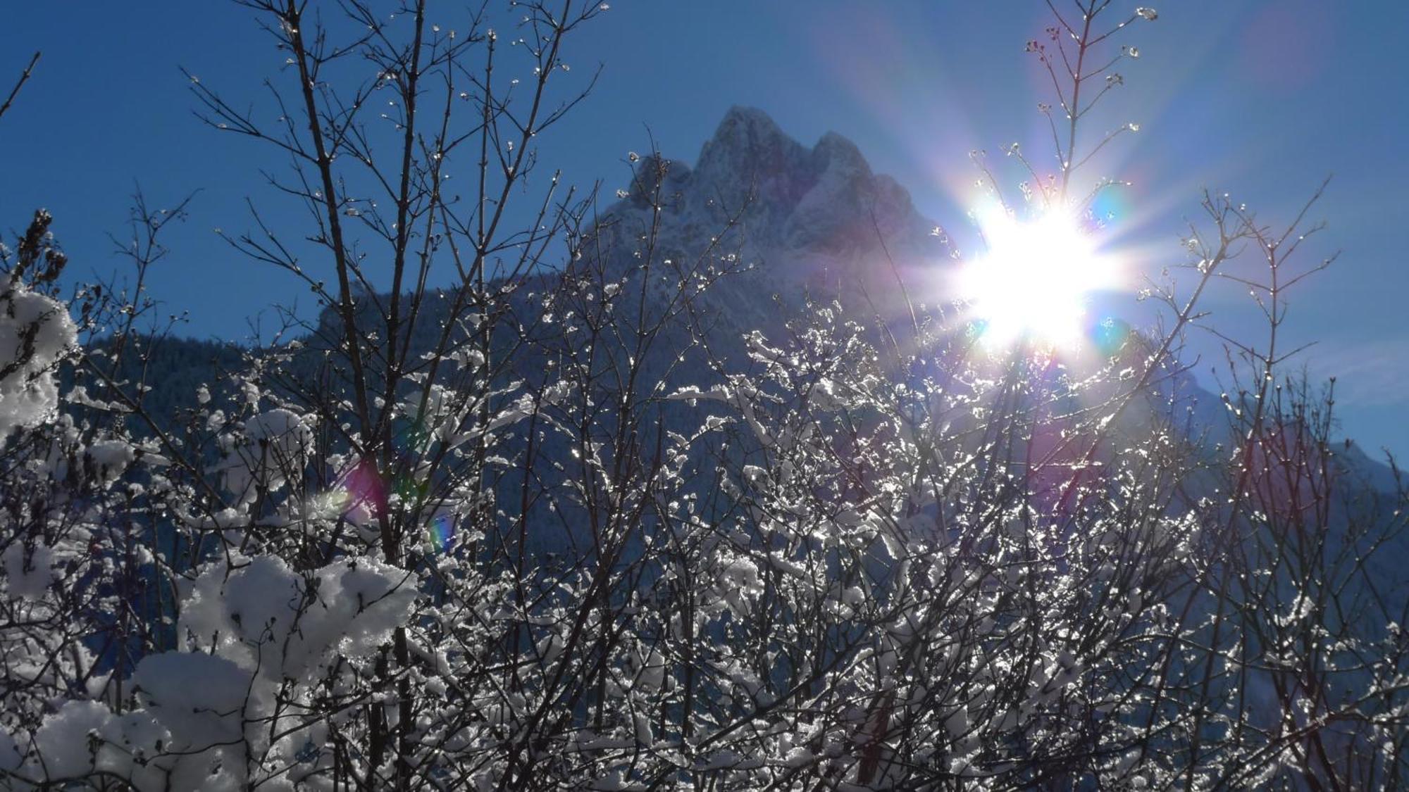 Villa Gemmy Pozza di Fassa Exterior photo